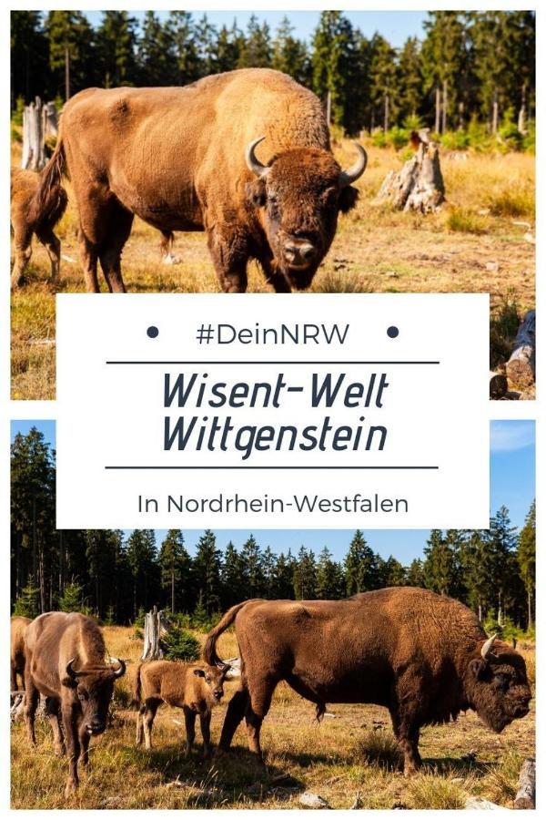 Ferienwohnung Am Denkmal บาด แบร์เลอบวร์ก ภายนอก รูปภาพ